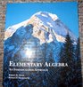 Elementary Algebra  An Individualized Approach