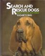 Search And Rescue Dogs
