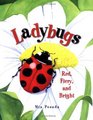 Ladybugs Red Fiery and Bright