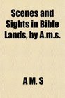 Scenes and Sights in Bible Lands by Ams