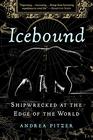 Icebound Shipwrecked at the Edge of the World