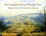 New England Forests Through Time  Insights from the Harvard Forest Dioramas