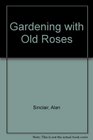 Gardening with Old Roses