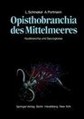 Opisthobranchia des Mittelmeeres Nudibranchia und Saccoglossa
