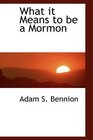 What it Means to be a Mormon