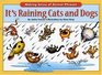 It's Raining Cats And Dogs: Making Sense of Animal Phrases