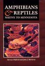 Amphibians  Reptiles Native to Minnesota