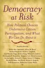 Democracy At Risk How Political Choices Undermine Citizen Participation And What We Can Do About It