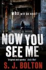 Now You See Me (Lacey Flint, Bk 1)