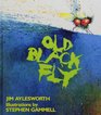 Old Black Fly