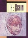 The Brain