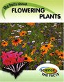 Flowering Plants the Facts about