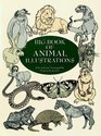 Big Book of Animal Illustrations (Dover Pictorial Archive Series)