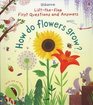 How Do Flowers Grow