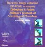 Electronic Image Collection to Accompany  Anthony's Textbook of Anatomy and Physiology