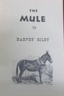 Mule A Treatise on the Breeding Training and Uses to Which He May Be Put