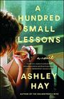 A Hundred Small Lessons A Novel