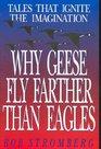 Why Geese Fly Farther Than Eagles