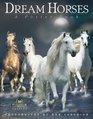 Dream Horses A Poster Book