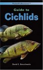 Pocketprofessional Guide to Cichlids