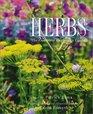 Herbs The Complete Gardener's Guide