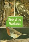 Birds of the Woodlands