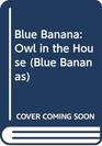 Blue Banana Owl in the House