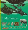 Mammals: Whales, Panthers, Rats, and Bats : The Characteristics of Mammals from Around the World (Voyages of Discovery)