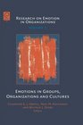 Emotions in Groups Organizations and Cultures