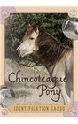 Chincoteague Pony Identification Cards Set 2