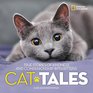 Cat Tales True Stories of Kindness and Companionship With Kitties