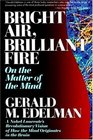 Bright Air, Brilliant Fire: On the Matter of the Mind