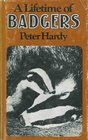 Lifetime of Badgers