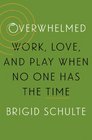 Overwhelmed Work Love and Play When No One Has the Time