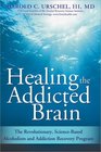 Healing the Addicted Brain The Revolutionary ScienceBased Alcoholism and Addiction Recovery Program