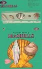 Science CloseUp Seashells