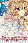 Sakura Hime The Legend of Princess Sakura Vol 3