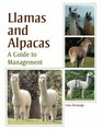 Llamas and Alpacas: A Guide to Management