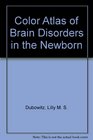 Color Atlas of Brain Disorders in the Newborn