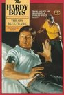 The Sky Blue Frame (Hardy Boys #89)