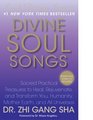 Divine Soul Songs Sacred Practical Treasures to Heal Rejuvenate and Transform You Humanity Mother Earth and All Universes