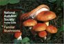 National Audubon Society Pocket Guide to Familiar Mushrooms