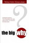 The Big Why Understanding Adversity and Transforming Your Troubles Into Triumphs