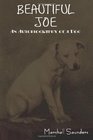Beautiful Joe An Autobiography of a Dog