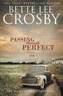 Passing through Perfect The Wyyattsville Series Book 3