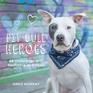 Pit Bull Heroes 49 Underdogs with Resilience and Heart