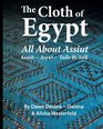 The Cloth of Egypt All About Assiut Assuit  Asyut  Tulle Bi Telli