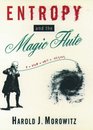 Entropy and the Magic Flute
