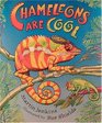 Chameleons Are Cool Read and Wonder