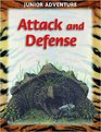 Attack and Defense